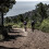 LOOK Cycle - Geo Trail Grip Ποδηλατικά Πεντάλ - Αξιοπιστία, Άνεση και Αντοχή 5