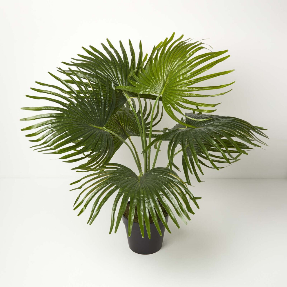 Homescapes Artificial Fan Palm Tree In Pot, 80 Cm Tall