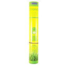 CITRONELLA INCENSE STICKS 30 PACK