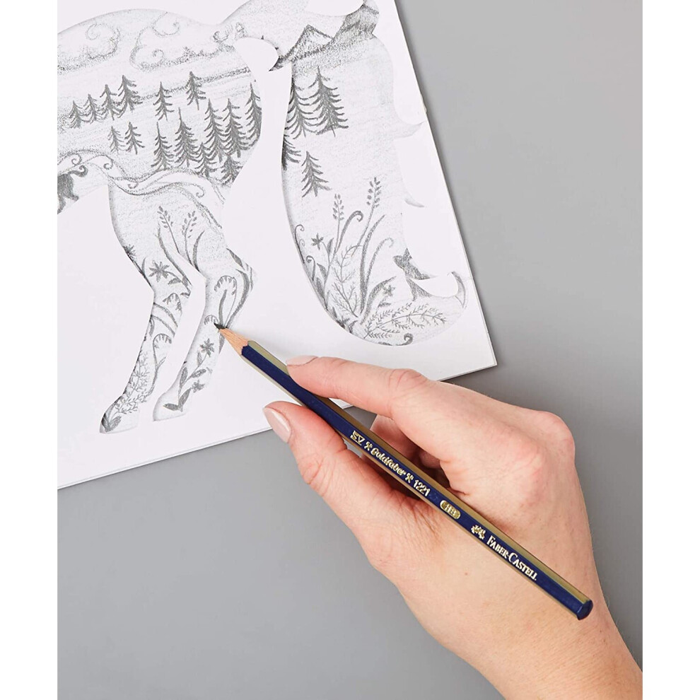 Faber-Castell Goldfaber Artists' Graphite 2H Pencil