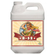 (500ml) Advanced Nutrients B-52
