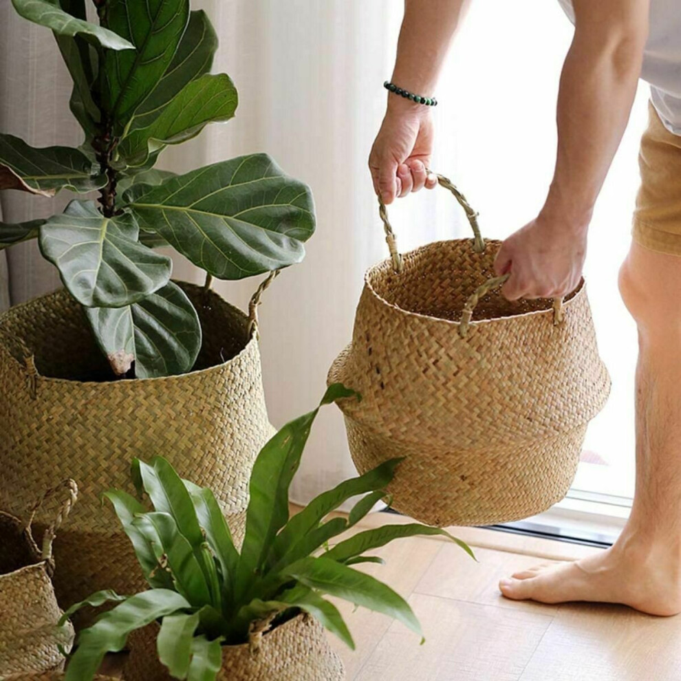 (MEDIUM ) Seagrass Belly Basket Woven Storage Wicker Pot Flower Plant