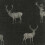 Arthouse Heritage Stag Charcoal/Copper 1