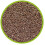 Hobby Artemia Breeder 4