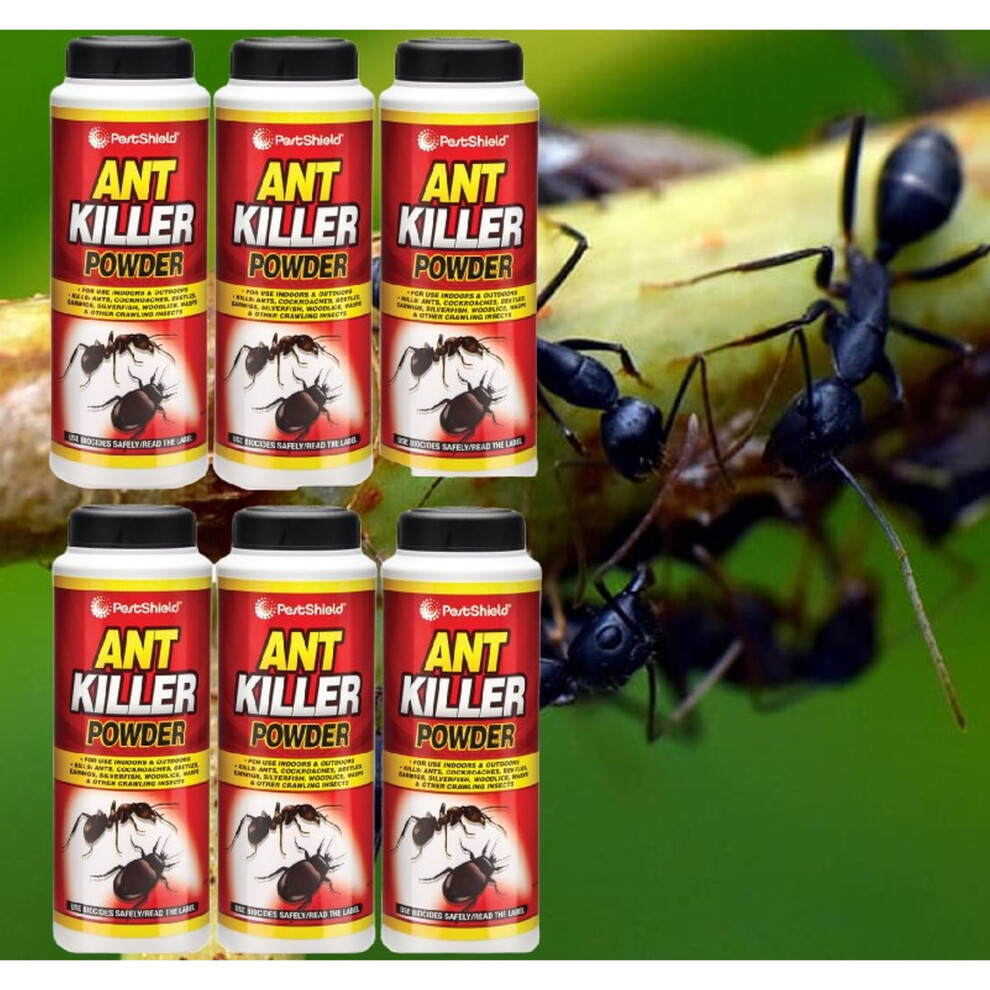 B&Q - 151 6 X Pestshield Ant Killer Powder 150G - Image 3