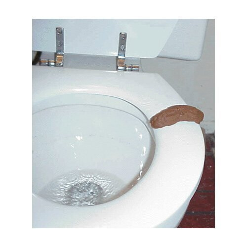 Loftus Gross Party Pooper Ψεύτικη Σκατούλα, Καφέ, 4 ίντσες 2