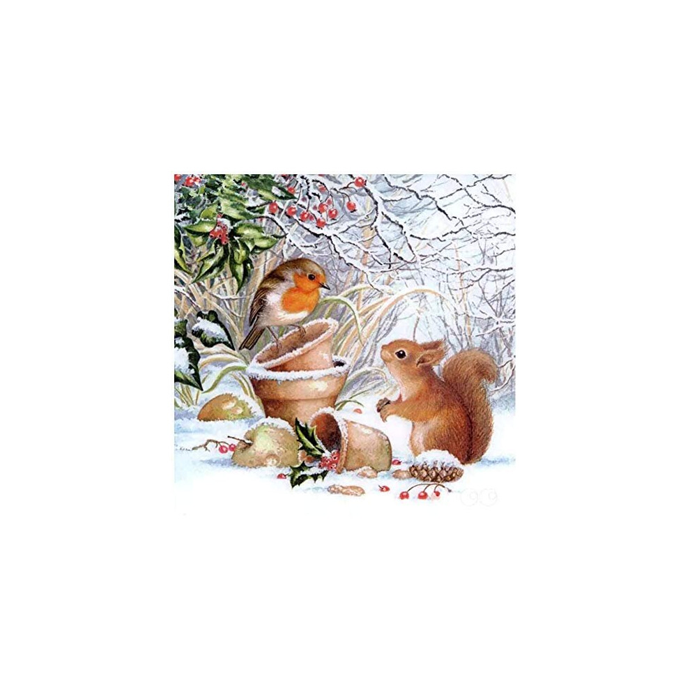 Huacan 5D DIY Diamond Painting Kits for Adults Animals Bird and Squirrel Full Square Drill Snow Scene Christmas Picture Crystal Rhinestone E