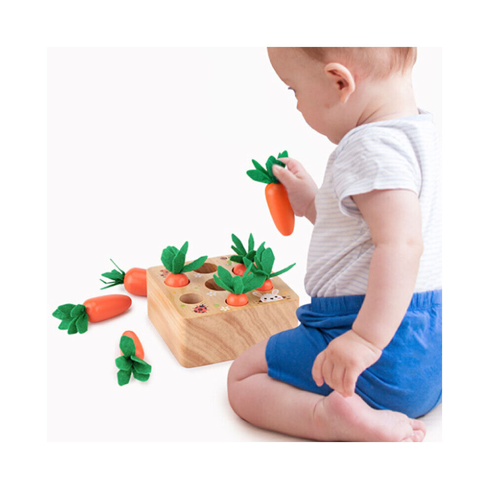 Wooden Educational Toys Set Carrot Shape Matching