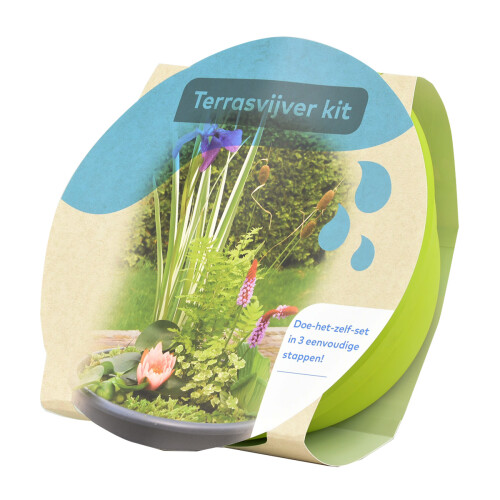 Moerings Patio Pond Plant Kit - Green