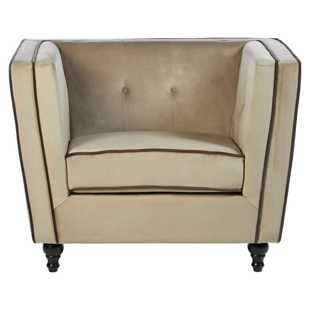 Premier Housewares Ferris Mink Velvet Chair