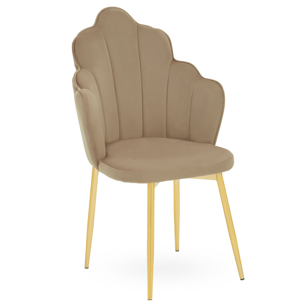 Premier Housewares Tian Mink Velvet Chair