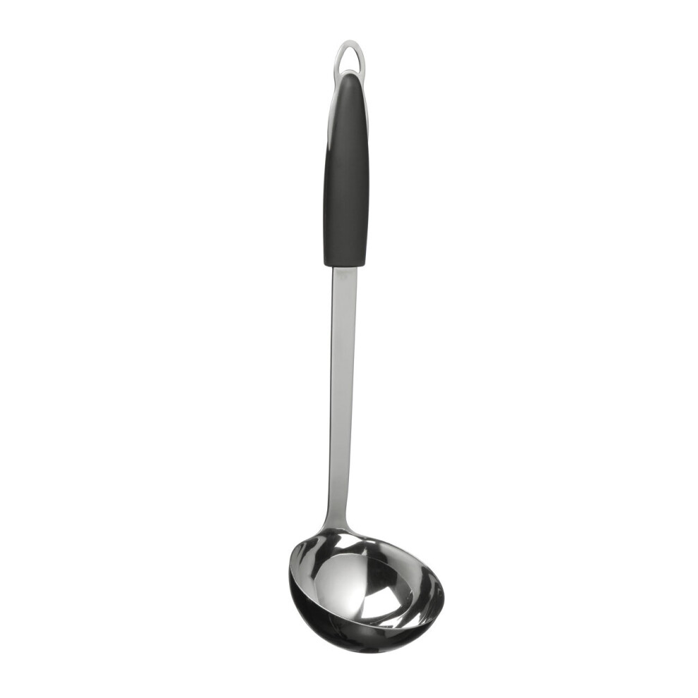 Premier Housewares Tenzo Ladle