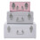 Premier Housewares Premier Housewares Set of 3 Assorted Colors Storage Trunks 1