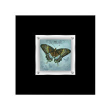 Premier Housewares Butterfly 2 Framed Wall Art