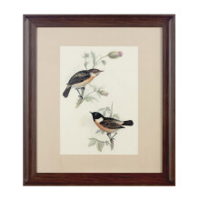 Premier Housewares Framed Birds 2 Wall Art