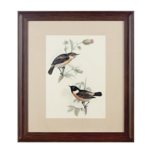 Premier Housewares Premier Housewares Framed Birds 2 Wall Art