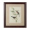 Premier Housewares Premier Housewares Framed Birds 1 Wall Art 1