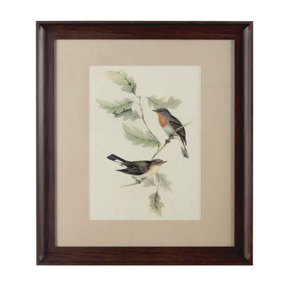 Premier Housewares Framed Birds 1 Wall Art-image-OPC-P8Z79BM-NEW