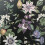 Fine Decor Fine Decor Sierra Floral Black Wallpaper FD43060 1