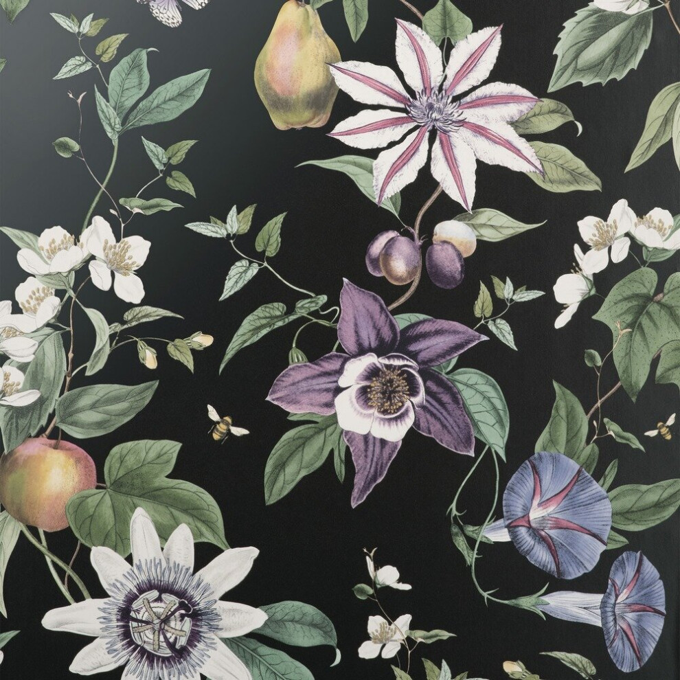 Fine Decor Sierra Floral Black Wallpaper FD43060