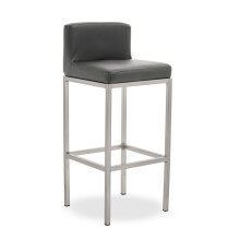 Dark grey and Chrome Finish Bar Chair, Glam Touch Indoor Metal Bar Stool, Footrest Bar Chair