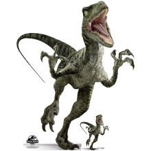 Star Cutouts Ltd SC1288 Star Cutouts Official Jurassic World Charlie (Raptor) Dinosaur Party and Collector's Item 129cm Tall, Multicolour