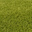 (120X120 cm Square Shape) Myshaggy Collection Rugs Solid Design 2