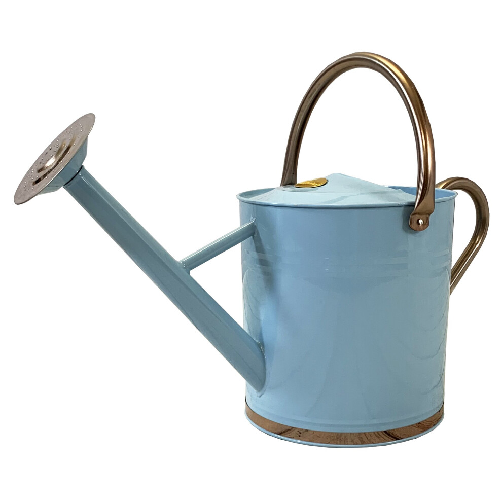 Duck Egg Blue & Copper Metal Watering Can with Rose (9 Litre)