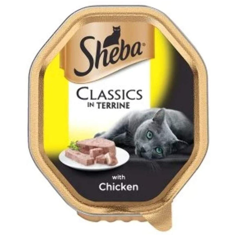 Sheba Classic in Terrine with Chicken Tray 22 x 85g.