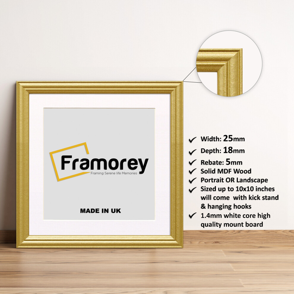 (Gold With White Mount, 16x16" Pic (20x20" Frame)) Square Size Gold Picture Frame / LW Style Wall Art Frame / Modern Photo Frames  With Multicolored Mount