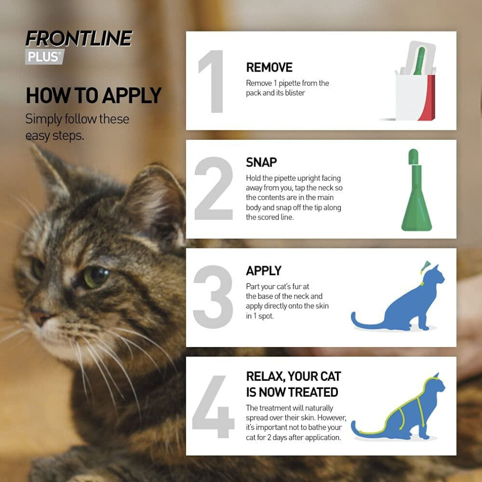 FRONTLINE Plus Flea Tick Treatment for Cats and Ferrets 6 Pipettes on OnBuy