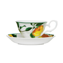 Elegant Design Apple Cup And Saucer, Durable Cup And Saucer, Bone China Small Cup And Saucer For Bedroom