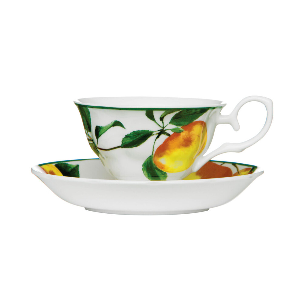 Premier Housewares Elegant Design Apple Cup And Saucer, Durable Cup And Saucer, Bone China Small Cup And Saucer For Bedroom