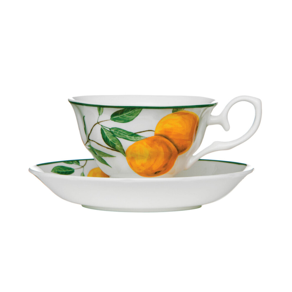 Premier Housewares Elegant Design Fruits Grove Cup And Saucer, Durable Tea Set, Bone China Cup And Saucer For Bedroom Orange