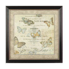 Premier Housewares Framed Butterfly 2 Wall Art