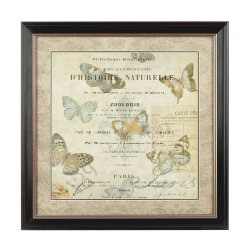 Premier Housewares Premier Housewares Framed Butterfly 2 Wall Art