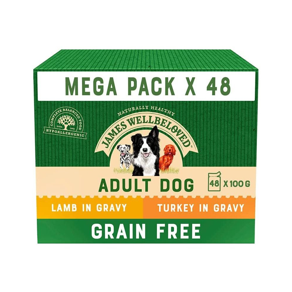 James Wellbeloved Dog Adult Free Turkey & Lamb Gravy Pouch Cr07w 48 X 100 G Grain