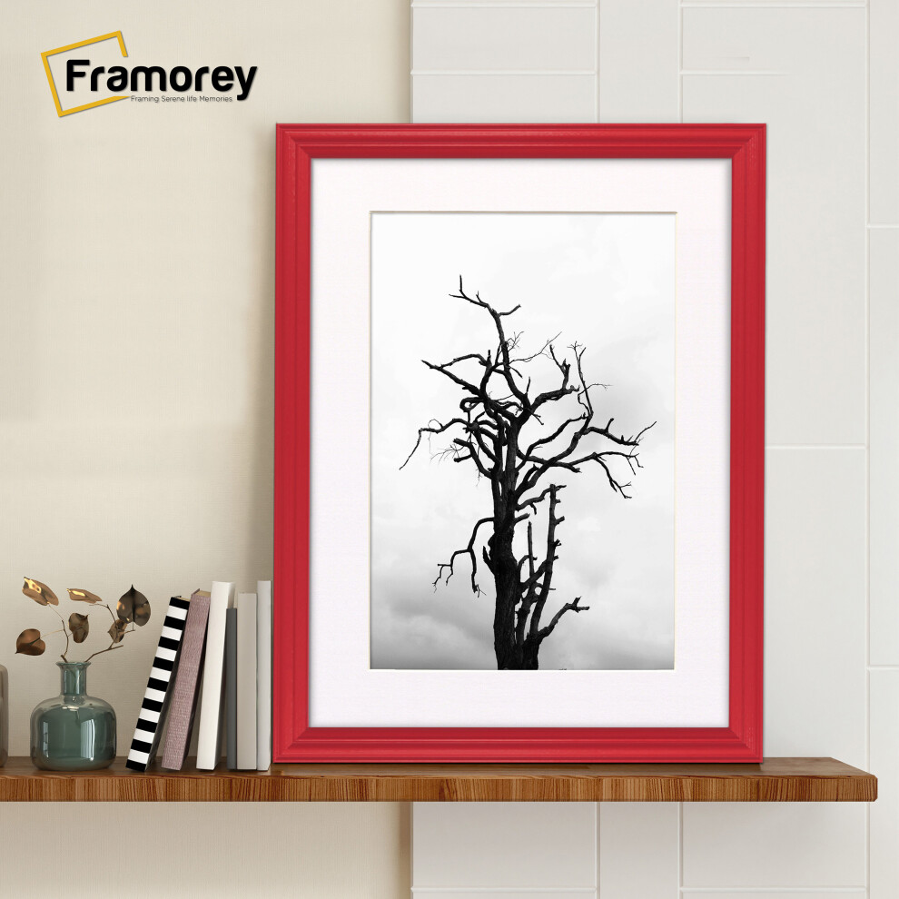 (A3 Pic (A2 Frame)) Red Picture Frame / LW Style Wall Art Frame / Modern Photo Frames With White Mount