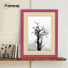 (40x50CM Pic (50x60CM Frame)) Pink Picture Frame / LW Style Wall Art Frame / Modern Photo Frames With Ivory Mount