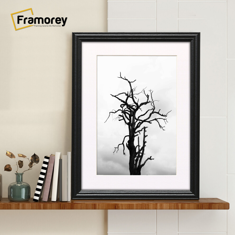 (A2 Pic (A1 Frame)) Black Picture Frame / LW Style Wall Art Frame / Modern Photo Frames With White mount