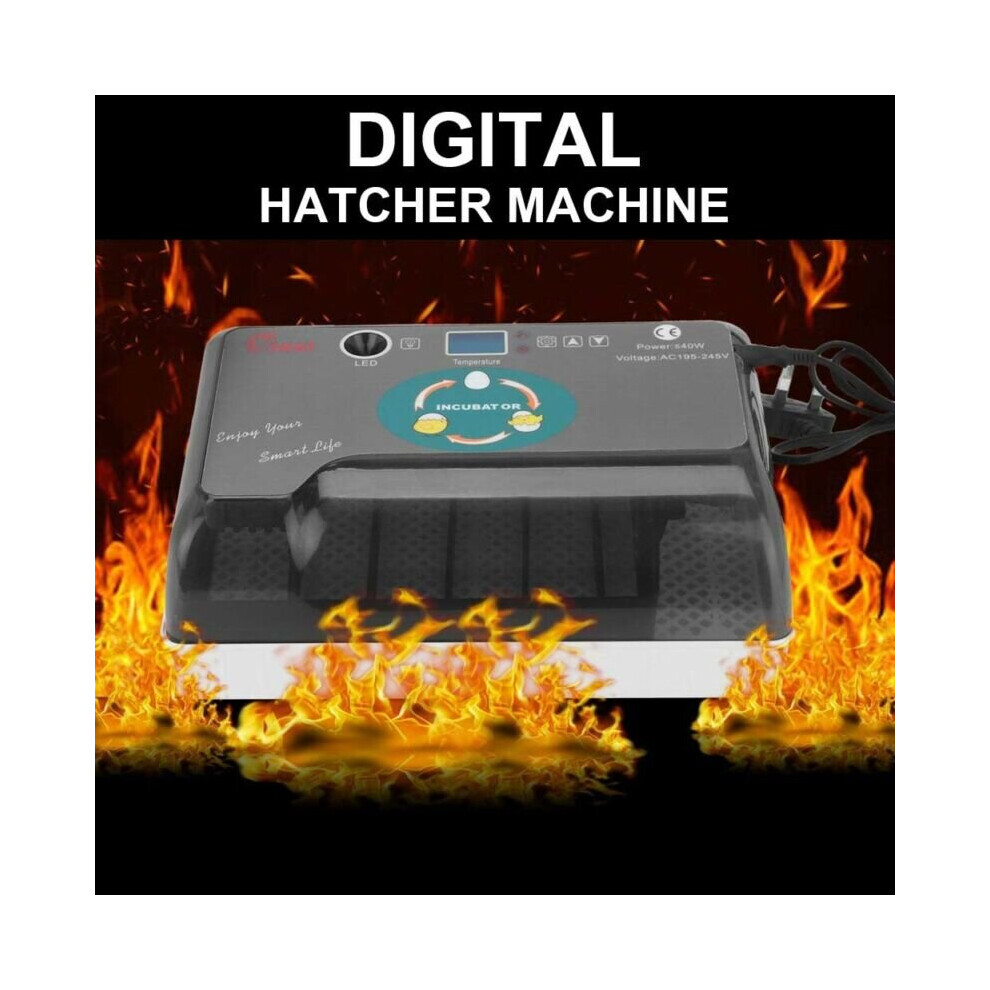 Automatic Turning Hatcher Egg Incubator 12 Eggs Poultry Hatching