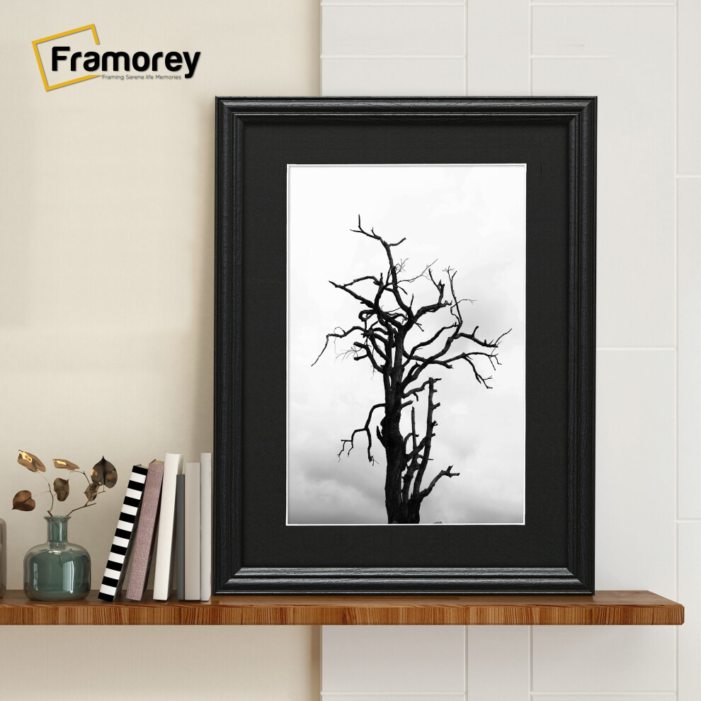 (A2 Pic (A1 Frame)) Black Picture Frame / LW Style Wall Art Frame / Modern Photo Frames With Black mount