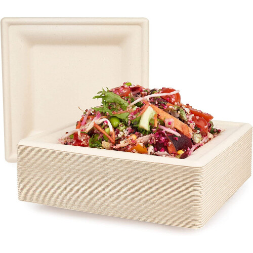 100 Sugarcane Biodegradable Plates Eco-Friendly & Compostable (20cm, Square)