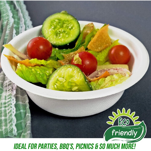 60 Eco-Friendly Biodegradable Sugarcane Paper Bowls - 13cm 1