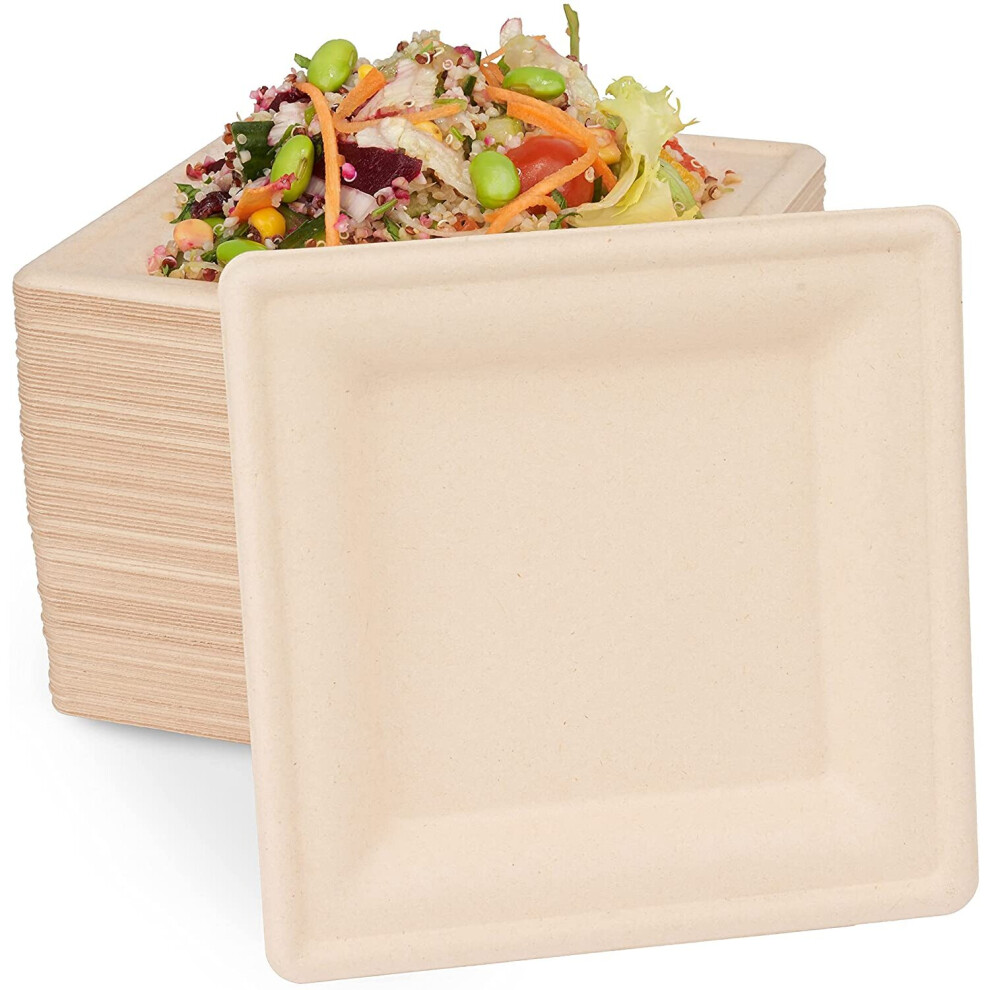 Haago 100 Sugarcane Biodegradable Bagasse Plates Eco-Friendly & Compostable -, Square 16Cm