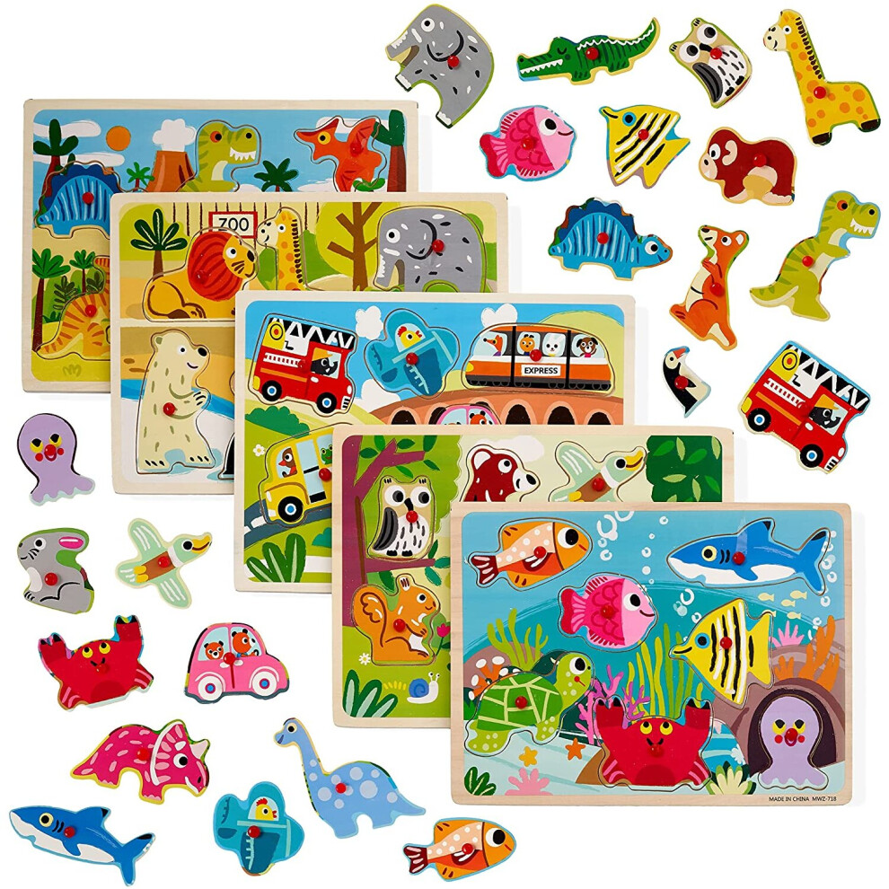 5 Wooden Jigsaw Peg Puzzles