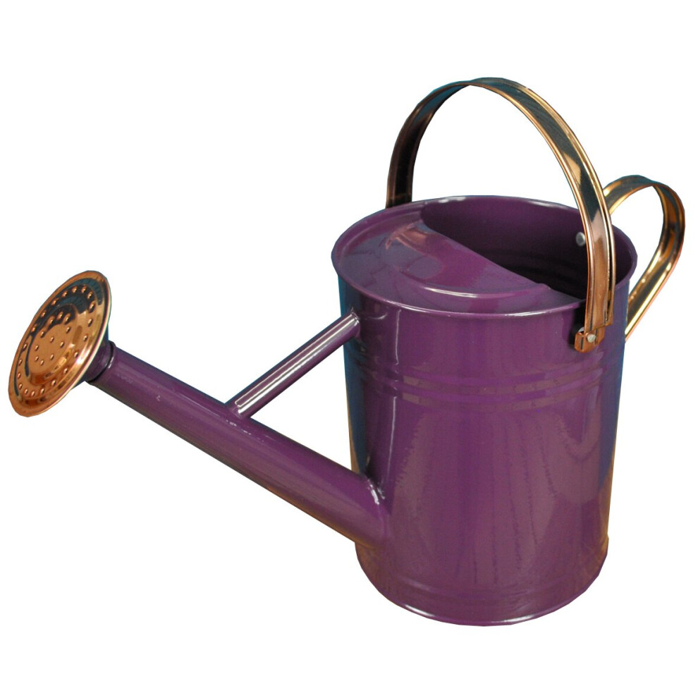 Selections Heather Metal & Copper Watering Can (3.5 Litre) Purple
