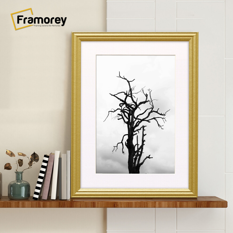(24x18" Pic (28x22" Frame)) Gold Picture Frame / LW Style Wall Art Frame / Modern Photo Frames With White Mount