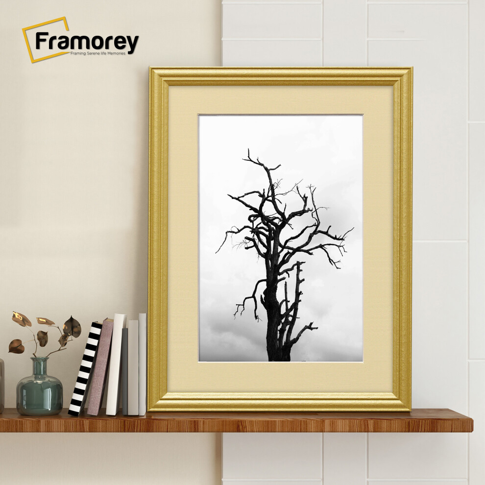 (30x40CM Pic (40x50CM Frame)) Gold Picture Frame / LW Style Wall Art Frame / Modern Photo Frames With Ivory Mount