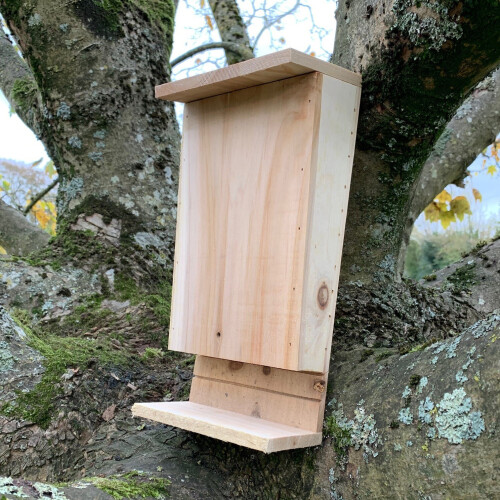 Selections Wooden Bat Box Nest with Landing Perch 1